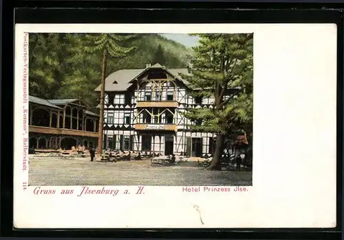 AK Ilsenburg a. H., Hotel Prinzess Ilse