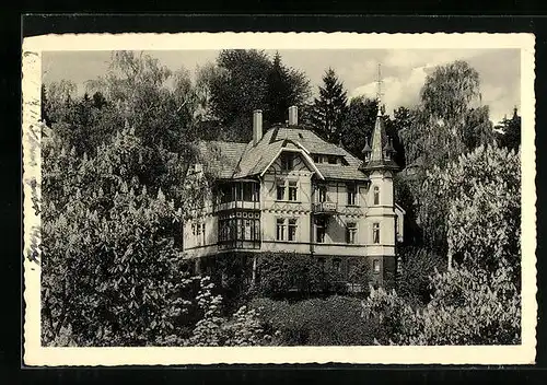 AK Bad Sachsa /Südharz, Pension Haus Tabea, Moltkestrasse 3