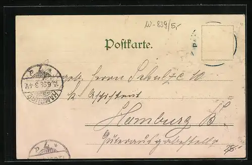 Lithographie Passau, Teilansicht, Dom