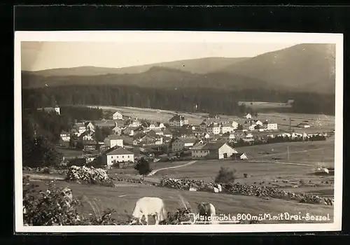 AK Haidmühle, Teilansicht mit Drei-Sessel