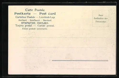 AK Ruhstein /Schwarzwald, Ortspartie