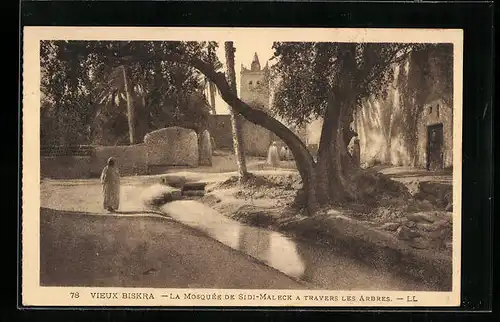 AK Biskra, La Mosquée de Sidi-Maleck a Travers les Arbres