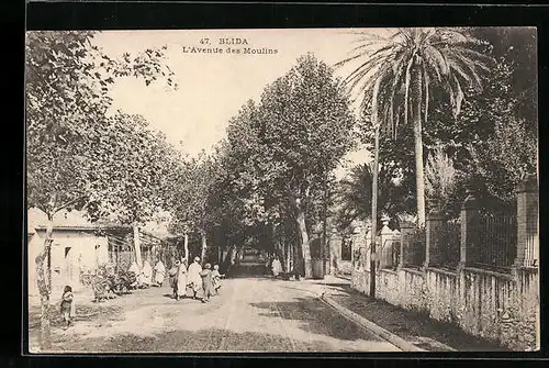 AK Blida, L`Avenue des Moulins
