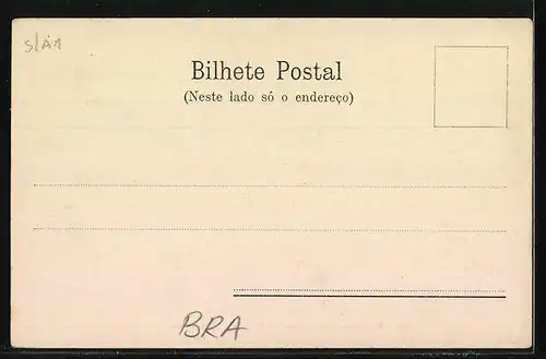 AK Sao Paulo, Boituva, Plantacao de Abacaxis