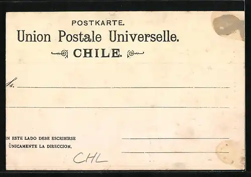 AK Chile, Cordilleren-Vegetation