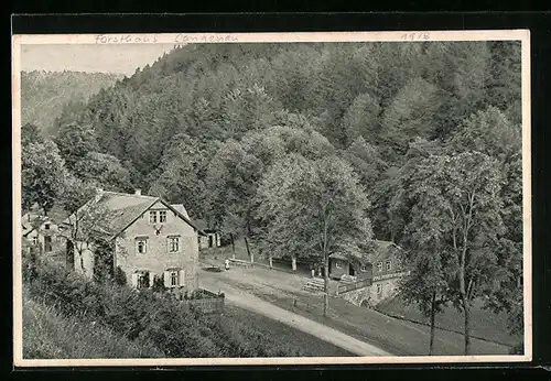 AK Geroldsgrün, Forsthaus Langenau im Frankenwald