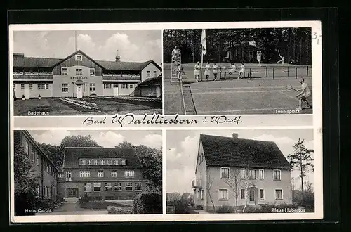 AK Bad Waldliesborn i. W., Haus Carola, Haus Hubertus, Badehaus