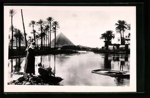 AK Cairo, Flood Times near Pyramids