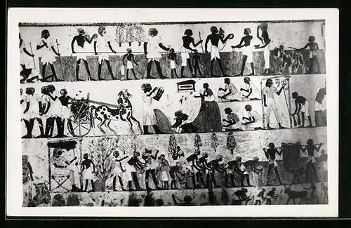 AK Thebes, The Mortuary Chapel of Menna, Measuring land, recording grain & reaping