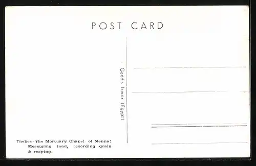 AK Thebes, The Mortuary Chapel of Menna, Measuring land, recording grain & reaping