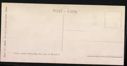 AK Cairo, Camel traversing the road of Memphis