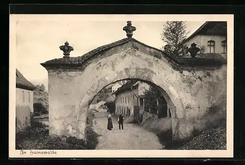 AK Hainewalde, Weg mit Torbogen zum Schloss