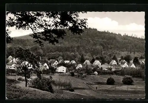 AK Trautheim bei Darmstadt, Teilansicht des Ortes