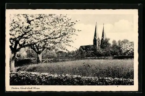 AK Bücken, Grafschaft Hoya, Kirche und blühende Obstbäume