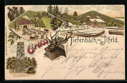Lithographie Tiefenbach bei Ilfeld, Gasthaus, Carlshaus-Thurm