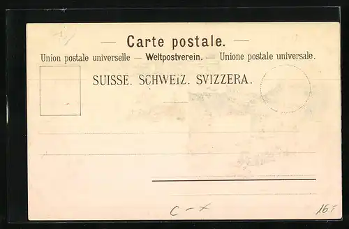 Lithographie Paradiso-Lugano, Hotel Reichmann au Lac Paradiso, Panorama