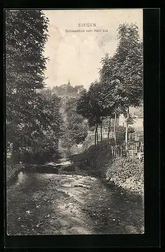 AK Siegen, Schlossblick vom Hain aus