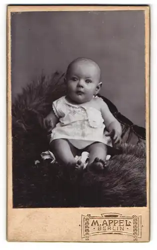 Fotografie M. Appel, Berlin, Portrait niedliches kleines Mädchen Irmgard Hellwig, 1909