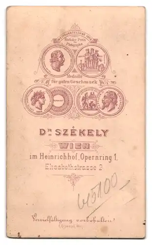 Fotografie Dr. Székely, Wien, Opernring 1, Elisabethstr. 2, Älterer Herr im Anzug mit Vollbart