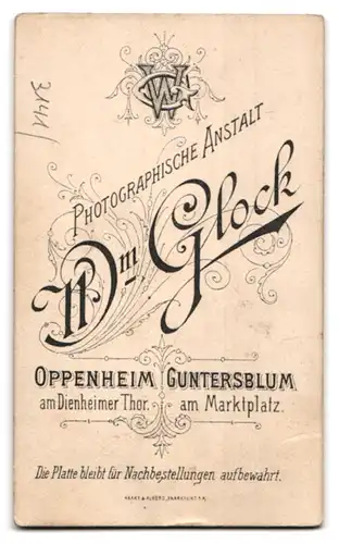 Fotografie Wm. Glock, Oppenheim, kleiner Dackel posiert auf einer Säule