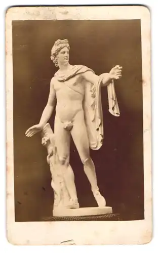 Fotografie unbekannter Fotograf und Ort, Statue: Apollo von Belvedere