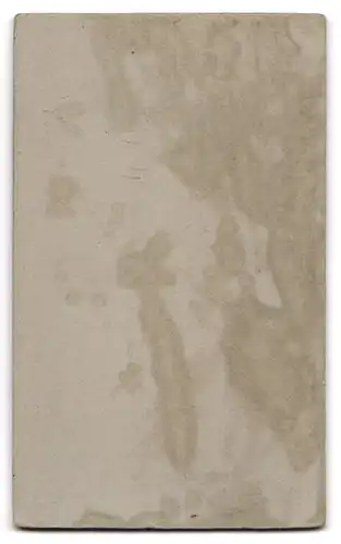 Fotografie Aug. v. Zabuesnig, Oberstdorf, junger Knabe als Wanderer mit Wanderstock in einer Studiokulisse