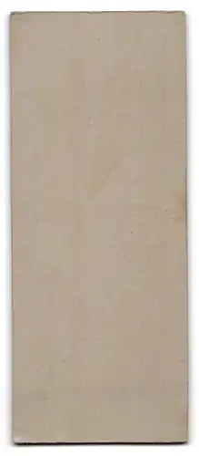 Fotografie Fr. Kloppmann, Wilhelmshaven, Matrose in Uniform mit Mützenband II. Werft Division