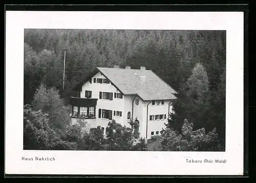 AK Tabarz /Thür. Wald, Ansicht von Haus Nehrlich