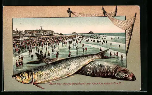 Präge-AK Atlantic City, NJ, Beach View showing Hotel Rudolf and Heinz Pier