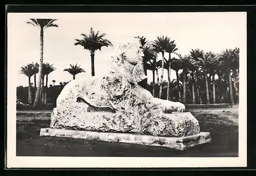 AK Memphis, The Alabaster Sphinx