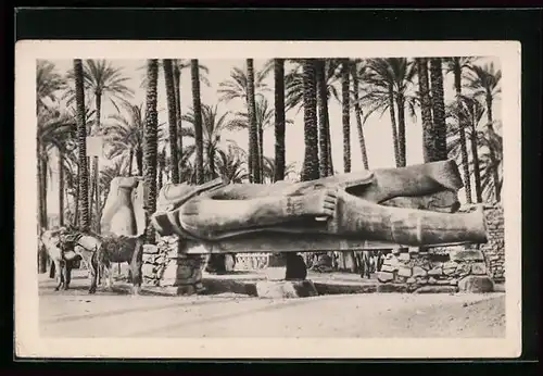 AK Sakkara, The Colossal Statue of Ramses II.
