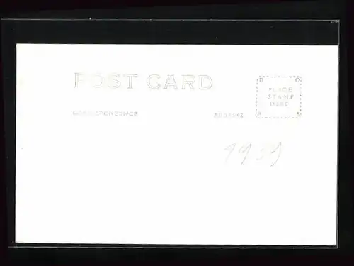 AK Yosemite National Park, Park-Bear