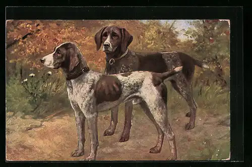 Künstler-AK Zwei Münsterländer auf einer Waldlichtung