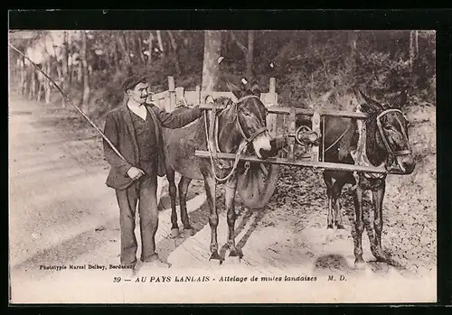 AK Au Pays Lanlais, Attelage de mules landaises