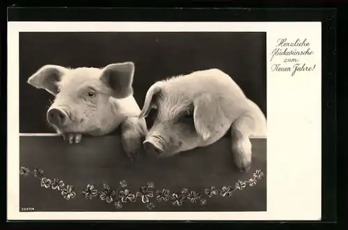 AK Zwei Schweine und Glücksklee-Kette, Neujahrsgruss
