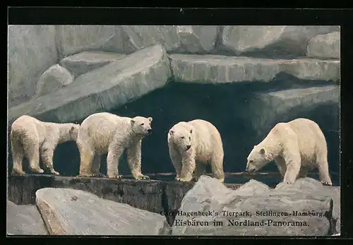 AK Stellingen-Hamburg, Eisbären im Nordland-Panorama