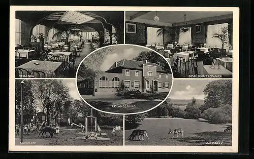 AK Düsseldorf-Grafenberg, Gasthaus Rolandsburg, Innenansichten Gesellschaftszimmer und Veranda