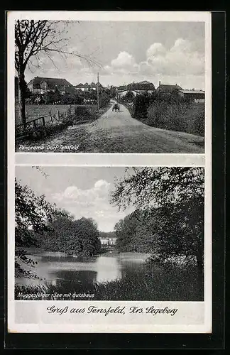 AK Tensfeld /Segeberg, Panorama Dorf Tensfeld, Muggesfelder See mit Gutshaus