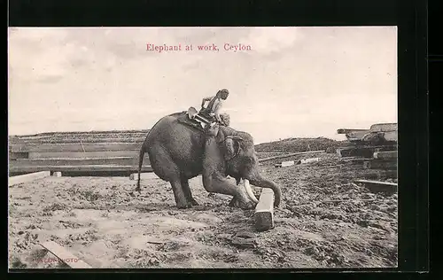AK Ceylon, Elefant beim Heben eines Balkens