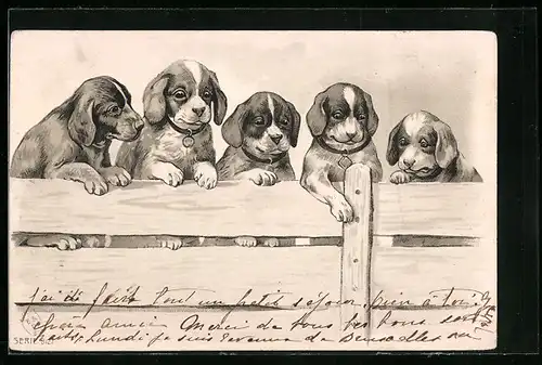 Künstler-AK Dackelwelpe mit vier Beaglewelpen am Lattenzaun