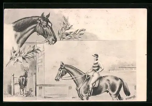 AK Reitpferd und Reiterin in Reitkleidung