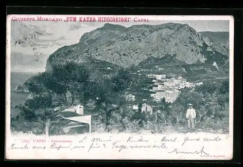 AK Capri, Ortsansicht aus der Vogelschau