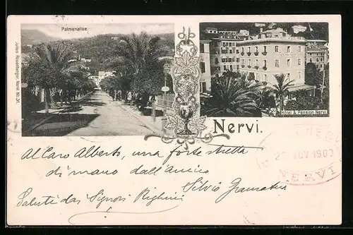 AK Nervi, Palmenallee, Hotel und Pension Nervi