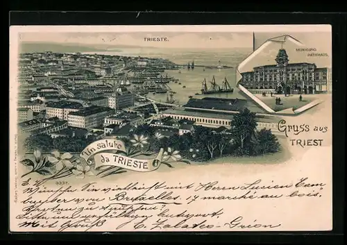 Lithographie Trieste, Municipio, Panorama