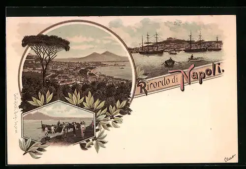 Lithographie Napoli, Panorama, da Mare