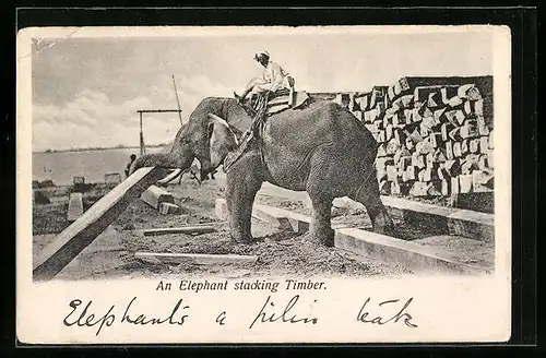 AK An Elephant stacking Timber
