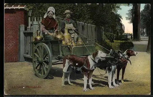 AK Flämisches Milchbauernpaar auf seinem Hundegespann