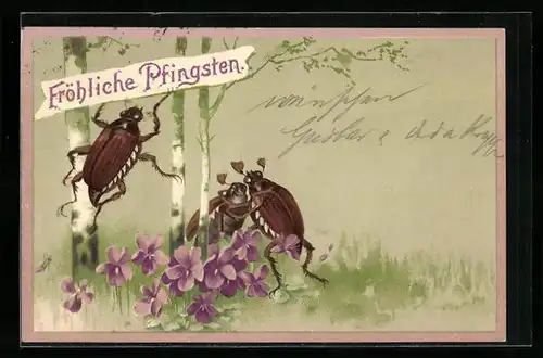 Lithographie Maikäfer feiern Pfingsten auf einer Wiese unter Birken