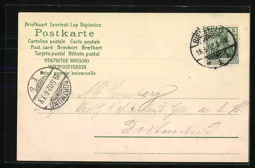 Lithographie Maikäfer feiern Pfingsten auf einer Wiese unter Birken