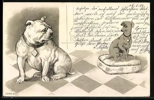 Lithographie Gedrungener kräftiger Hund und schmaler Gefährte auf einem Kissen